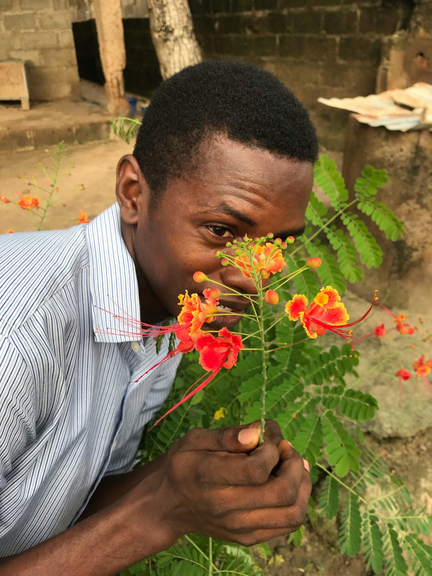 NomadFit Starter Bundle